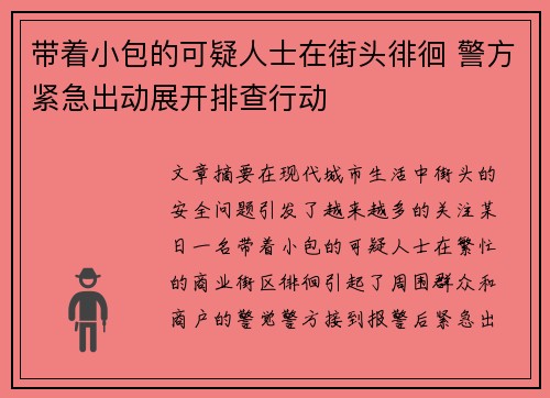 带着小包的可疑人士在街头徘徊 警方紧急出动展开排查行动